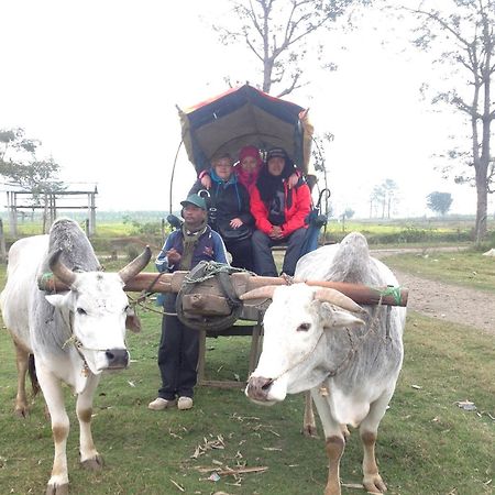 Everest Home Stay Apartment Lalitpur Extérieur photo
