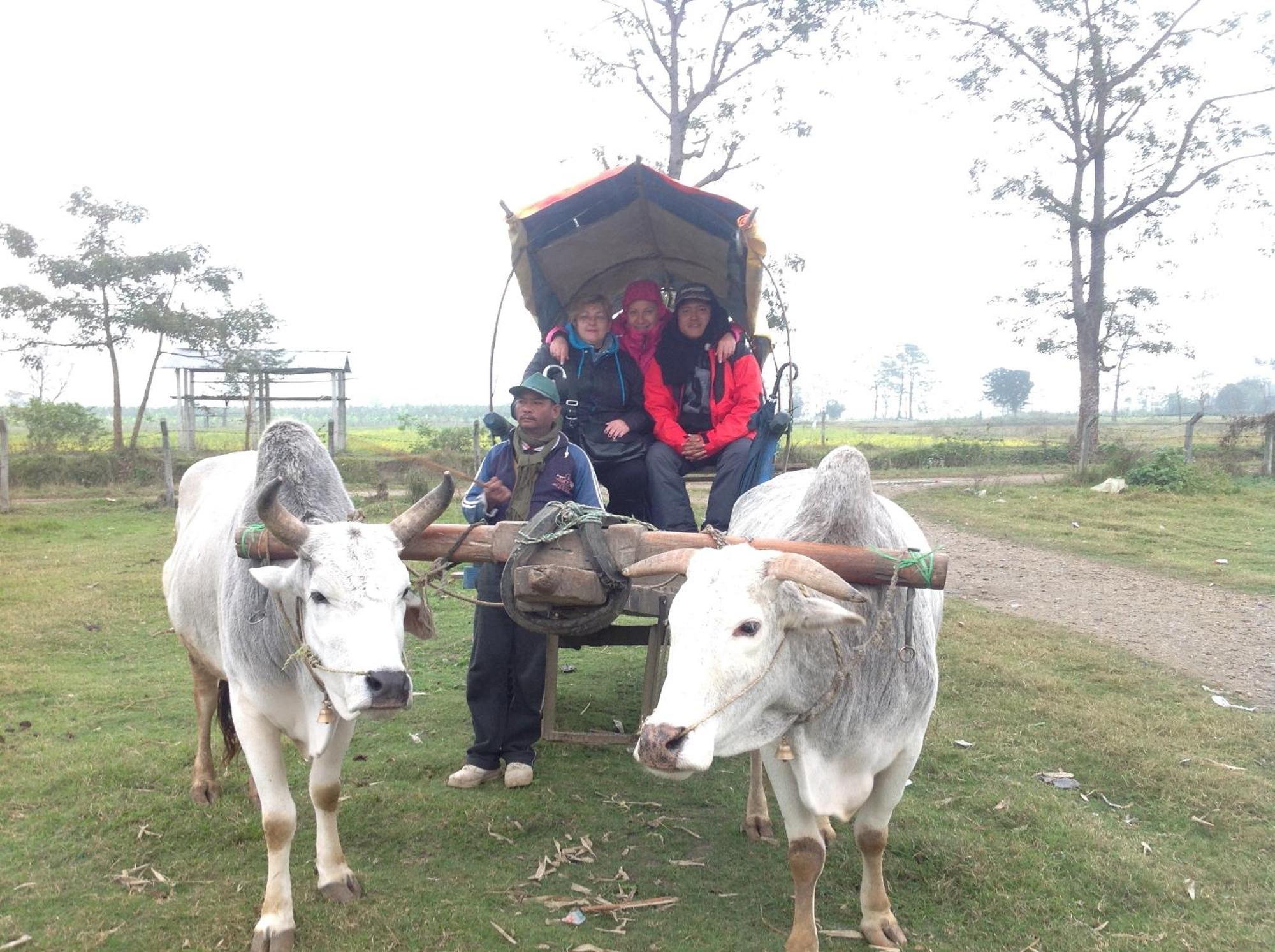 Everest Home Stay Apartment Lalitpur Extérieur photo