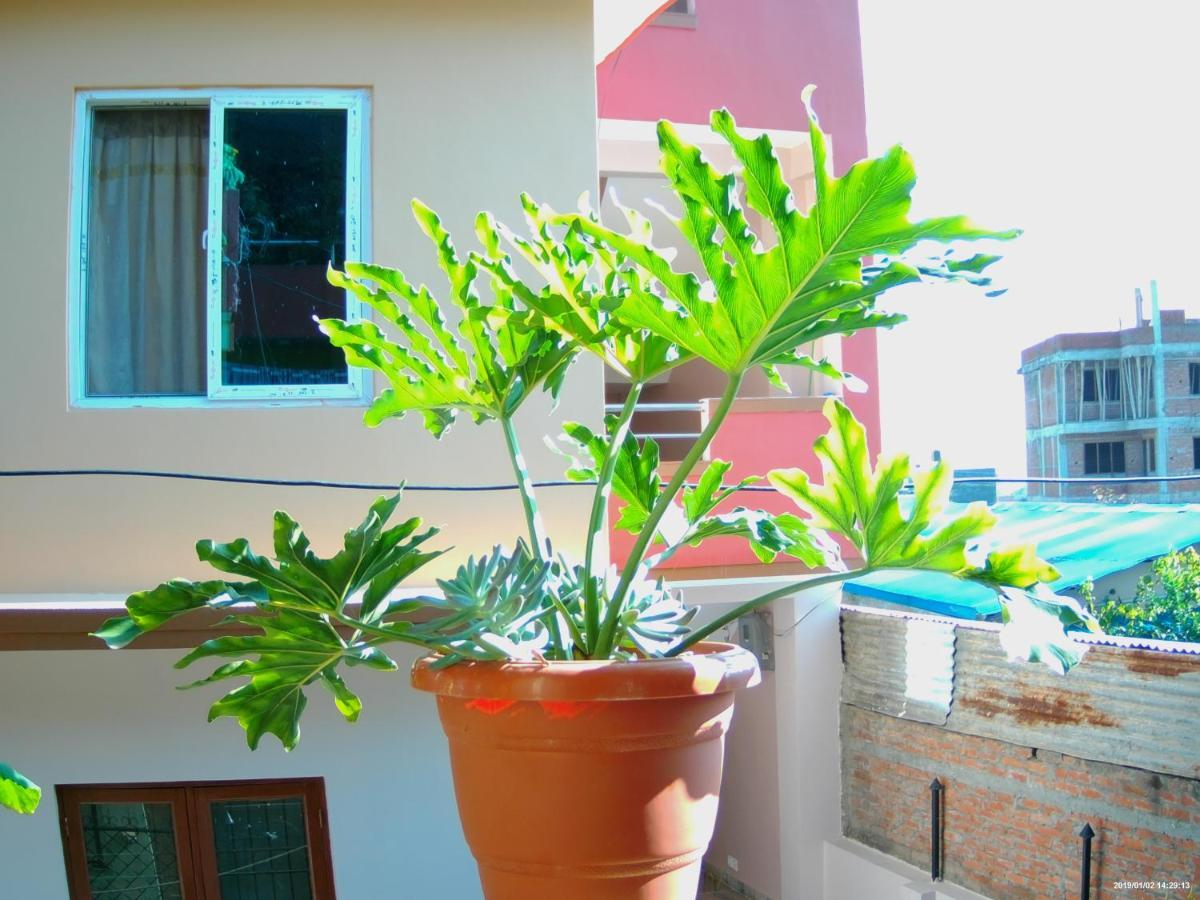 Everest Home Stay Apartment Lalitpur Extérieur photo